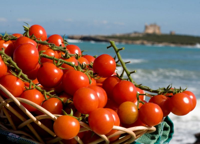 Tomàquet Pachino - Pachino | Secret World Trip Planner