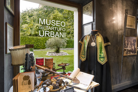 Hiri trufa Museoa - Scheggino | Secret World Trip Planner