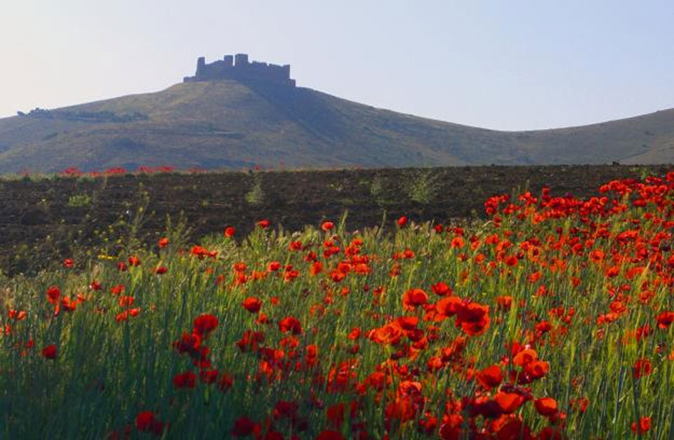 Burg Almonacid de Toledo