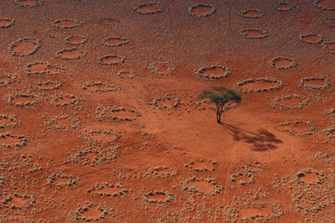 Namib-Wüste: die Feenkreise - Sossusvlei | Secret World Trip Planner