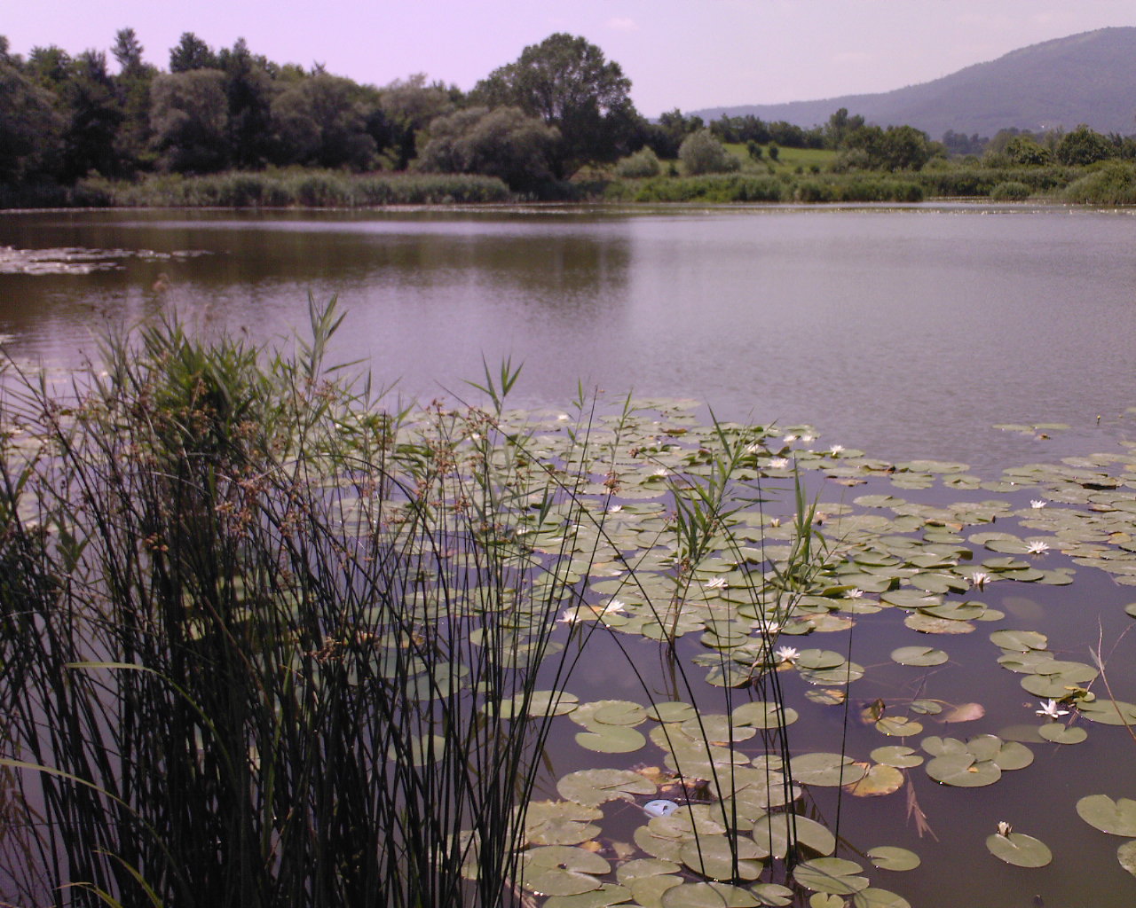 Sebino peat bogs - Iseo | Secret World Trip Planner