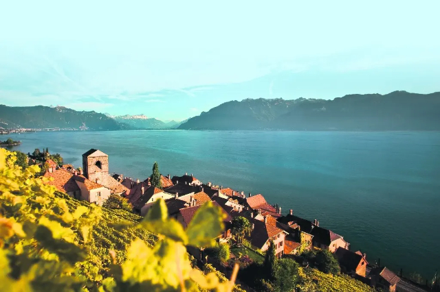 Lavaux, warisan UNESCO kebun anggur Swiss. - Distretto di Lavaux-Oron | Secret World Trip Planner