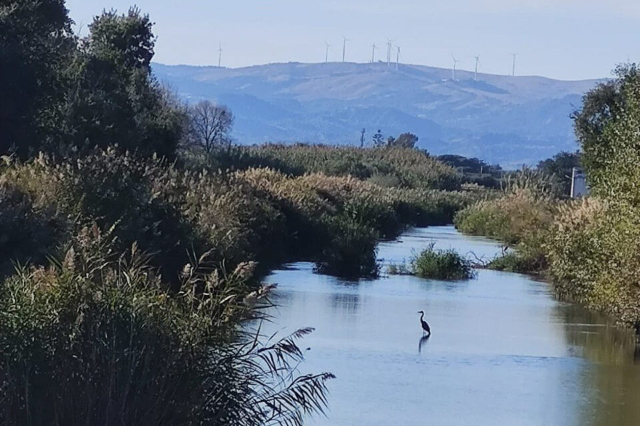 Eksplorimi i Oazës WWF të Policoro - 1 | Secret World Trip Planner