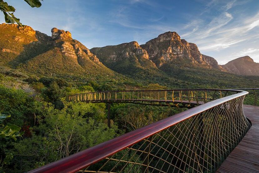 Kirstenbosch, Afrika Kidul-donya misuwur kebon botani - Cape Town | Secret World Trip Planner
