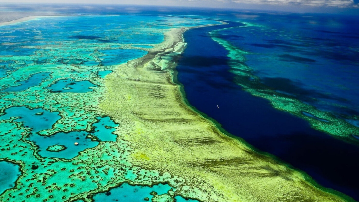 Het grootste rifsysteem ter wereld, het Great Barrier Reef - Grande barriera corallina | Secret World Trip Planner