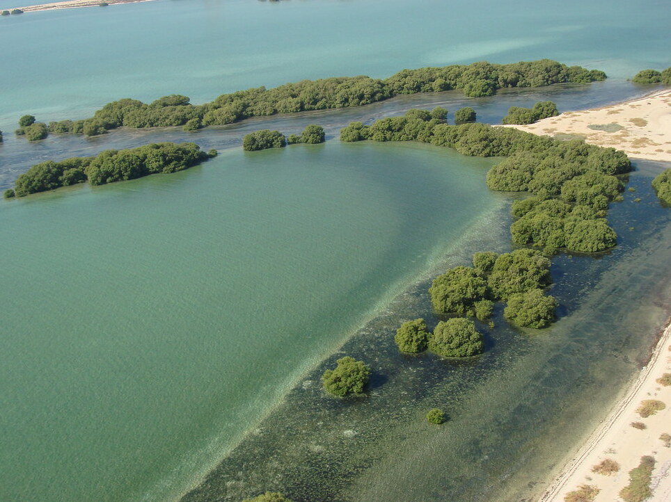 Bu Tinah, korálové souostroví, u pobřeží Abu Dhabi | Secret World Trip Planner