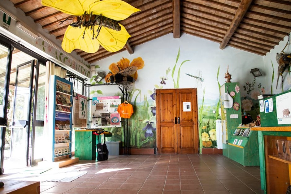 Lore Museoa - Torre Alfina | Secret World Trip Planner