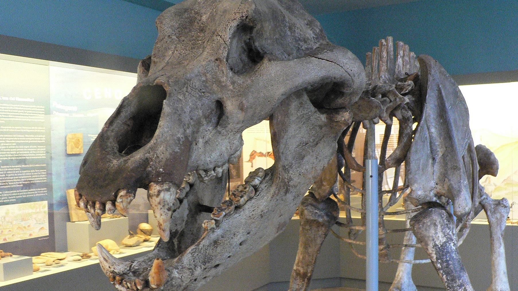 Museum Arkeologi di Valle Sabbia - Gavardo | Secret World Trip Planner