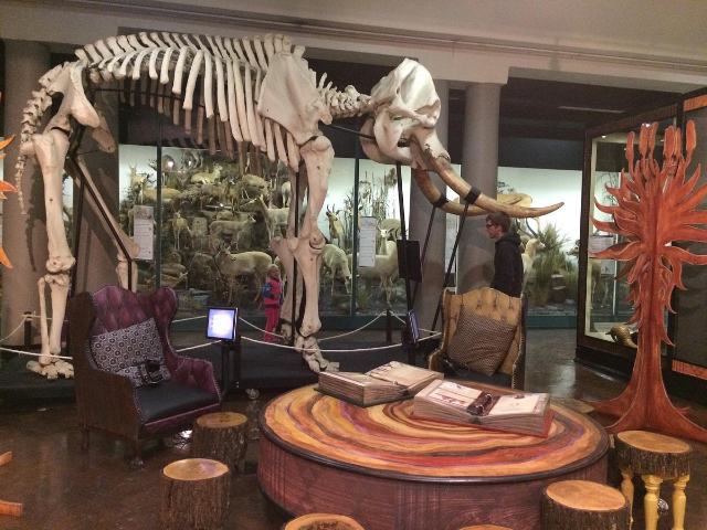 Museu KwaZulu-Natal - Durban | Secret World Trip Planner