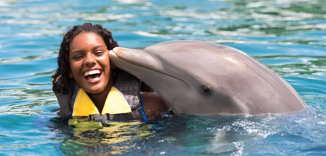 โอเชี่ยนเวิลด์แอดเวนเจอร์ปาร์ค - Puerto Plata | Secret World Trip Planner