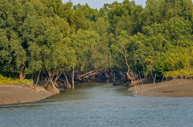 The Sundarbans Reserve Forest (SRF) | Secret World Trip Planner