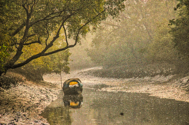 The Sundarbans Reserve Forest (SRF) | Secret World Trip Planner