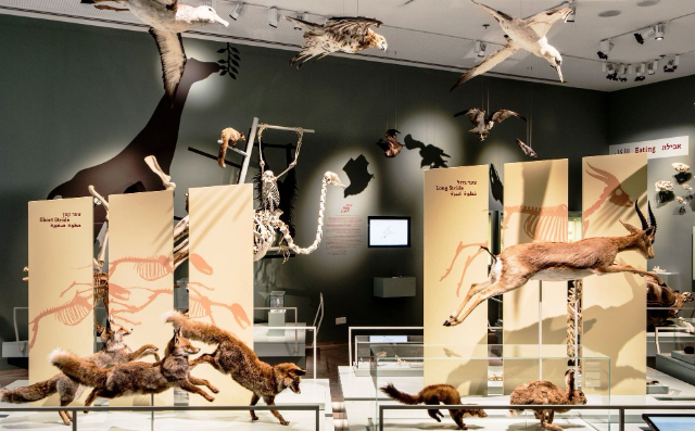 Museu d'Història Natural Steinhardt - Tel Aviv-Yafo | Secret World Trip Planner
