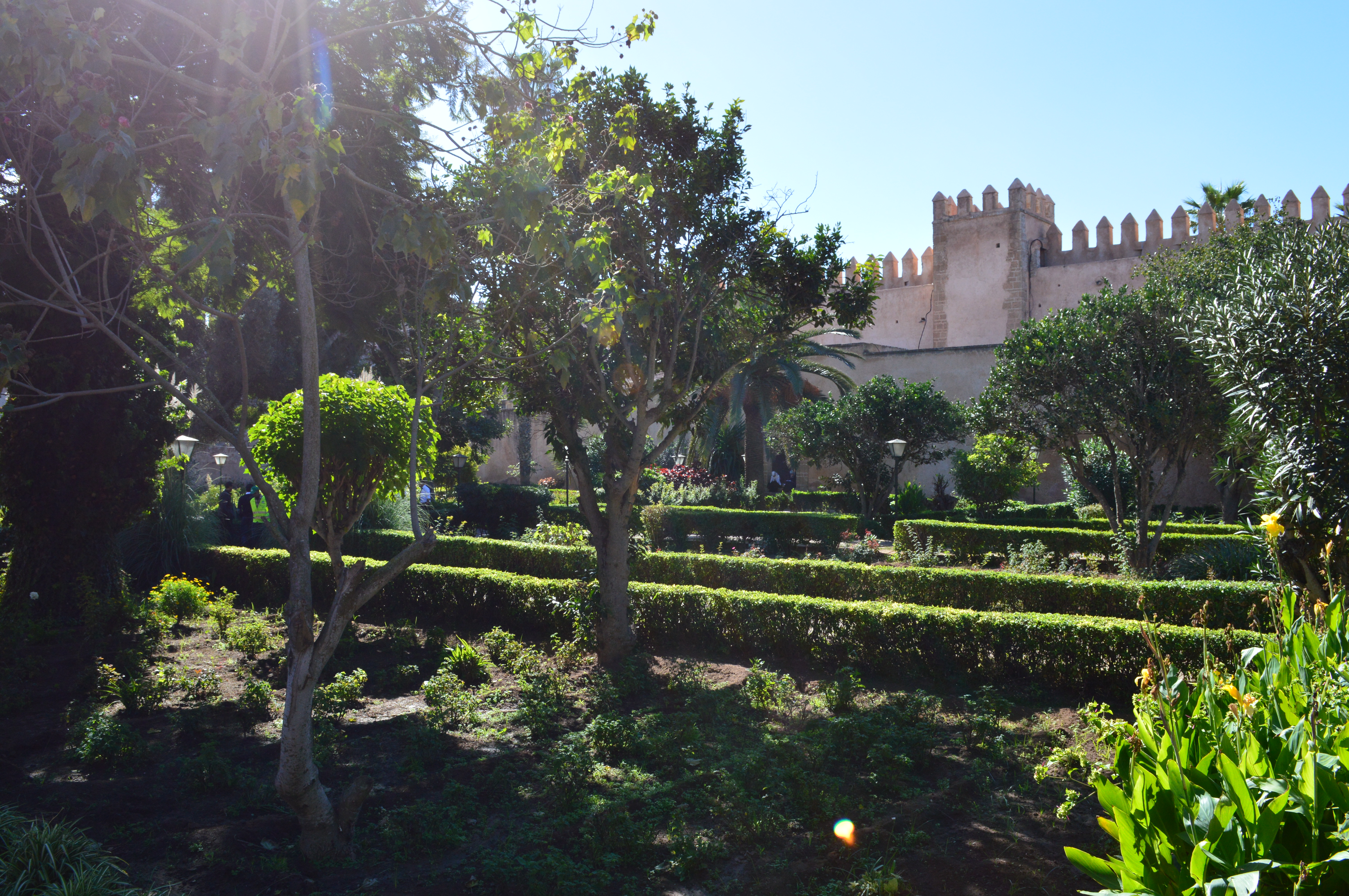 Andaluské zahrady