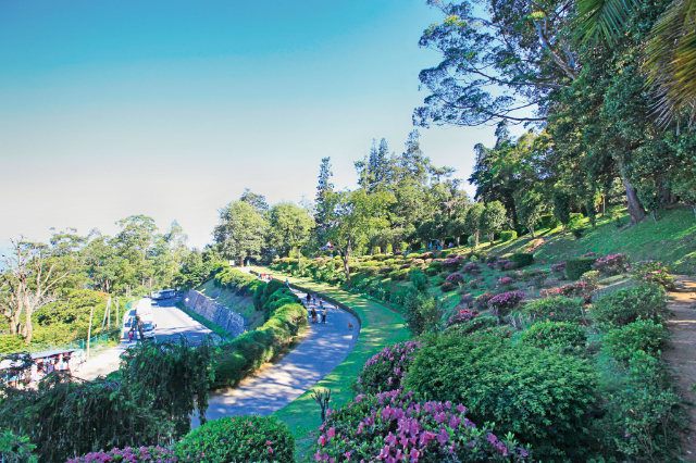 Kebun Raya Hakgala - Distretto di Nuwara Eliya | Secret World Trip Planner