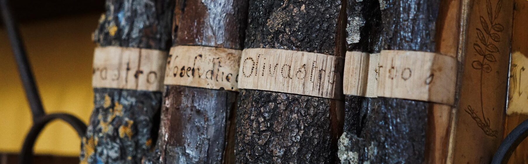 ထို႔ေနာက္ေရစင္ေအာင္ေဆးၿပီးေရစင္ေအာင္ေဆးကာေရစင္ေအာင္ေဆးပါ။ - Montalcino | Secret World Trip Planner