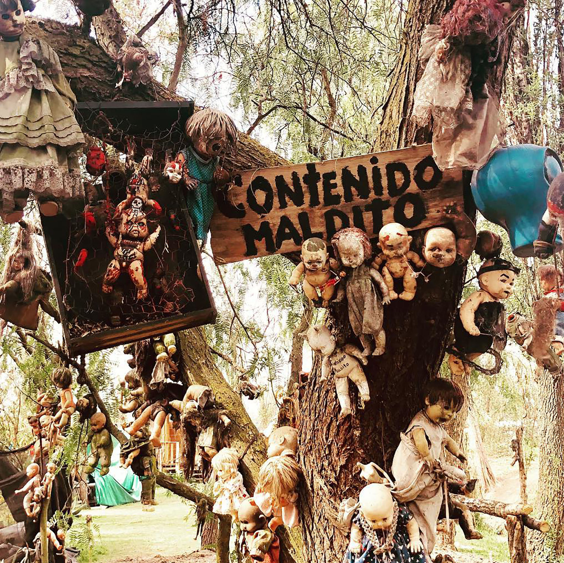 Хүүхэлдэй арал: L ' Isola delle Bambole hangate - Città del Messico | Secret World Trip Planner