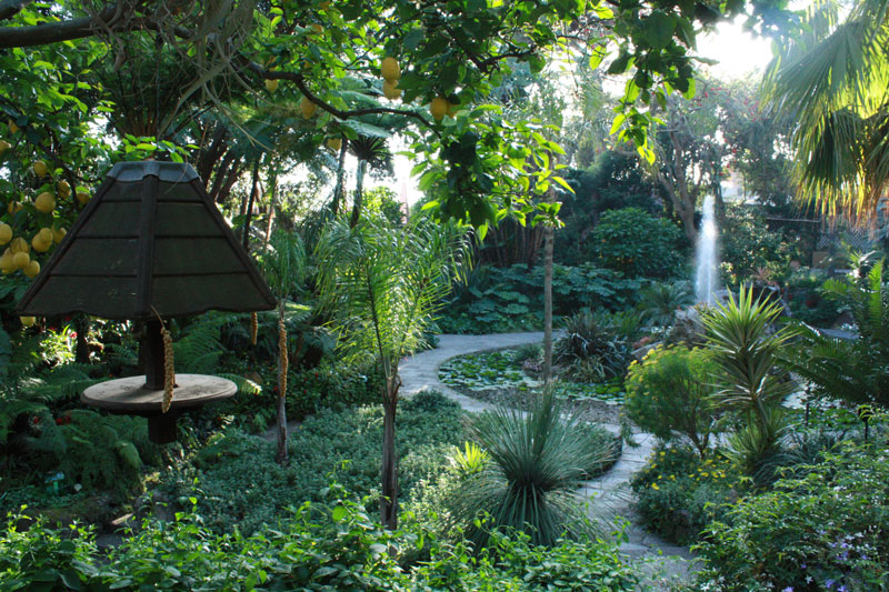 Ischia I Els Jardins la mortella