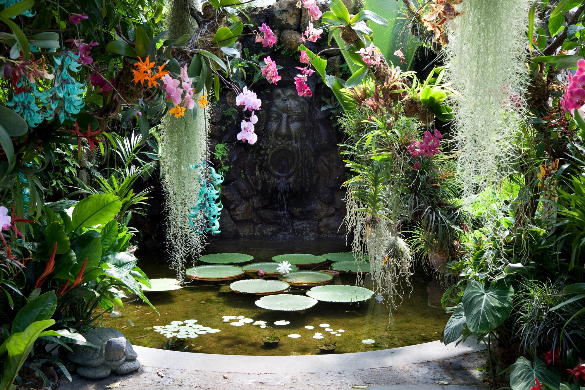 Ischia I Els Jardins la mortella