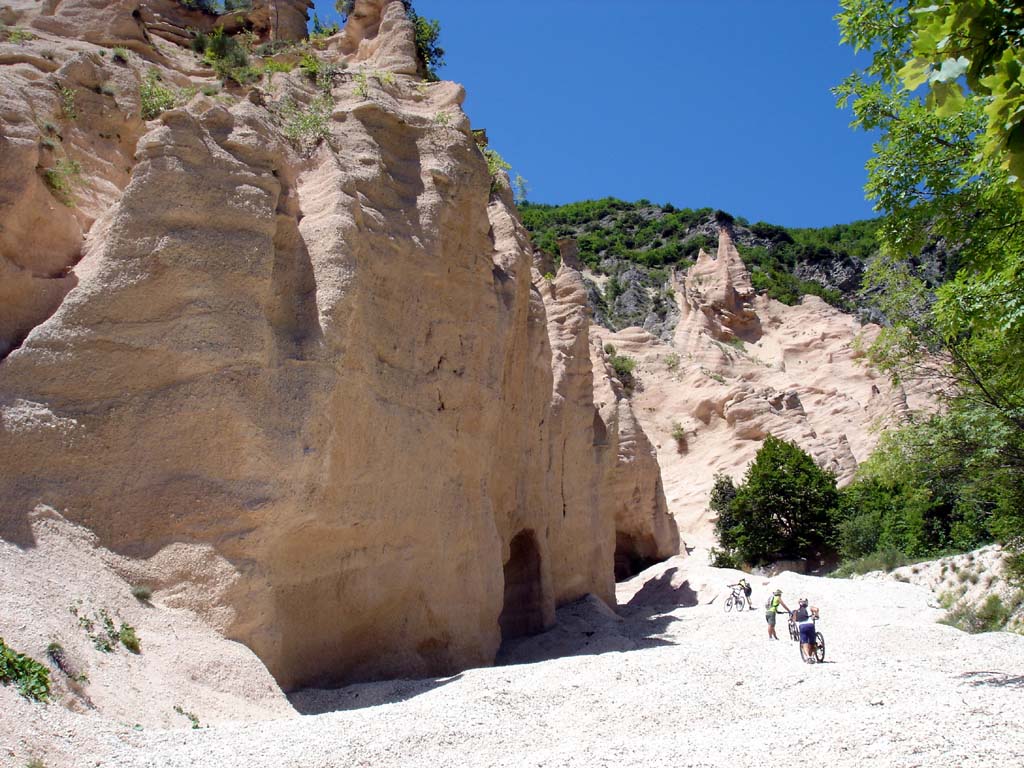 Lame roșii din Fiastra