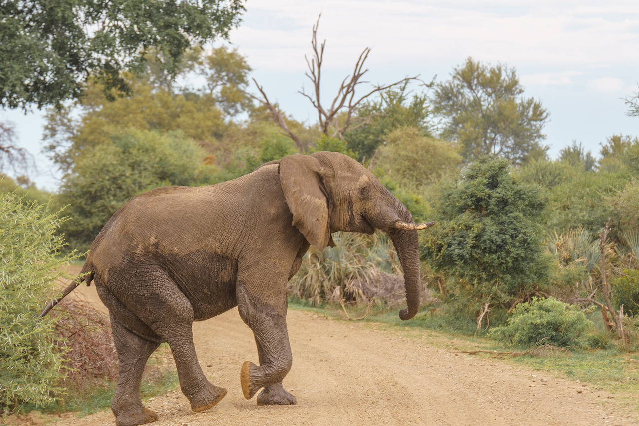 Friulian frico - Friuli-Venezia Giulia | Secret World Trip Planner