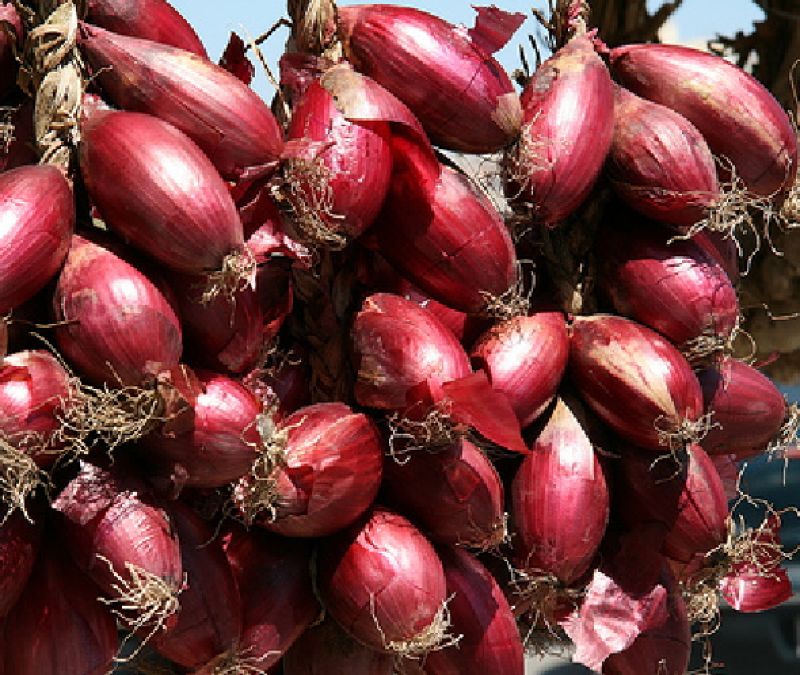 Tropea bawang merah - Tropea | Secret World Trip Planner