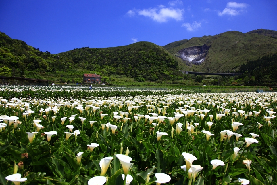 Tævan | Yangmingshan Þjóðgarðurinn | Secret World Trip Planner