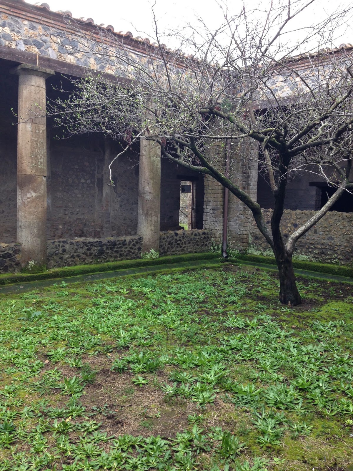 Casa Del vaixell Europa