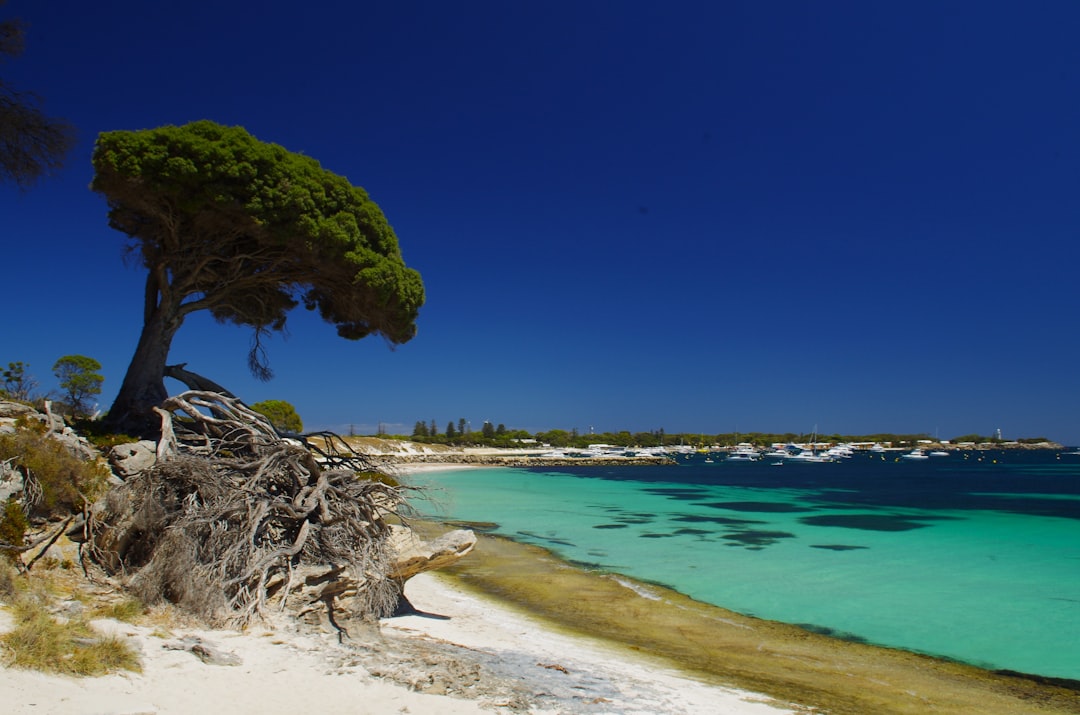 Rottnest Island, a little slice of Mediterranean heaven - Rottnest Island | Secret World Trip Planner
