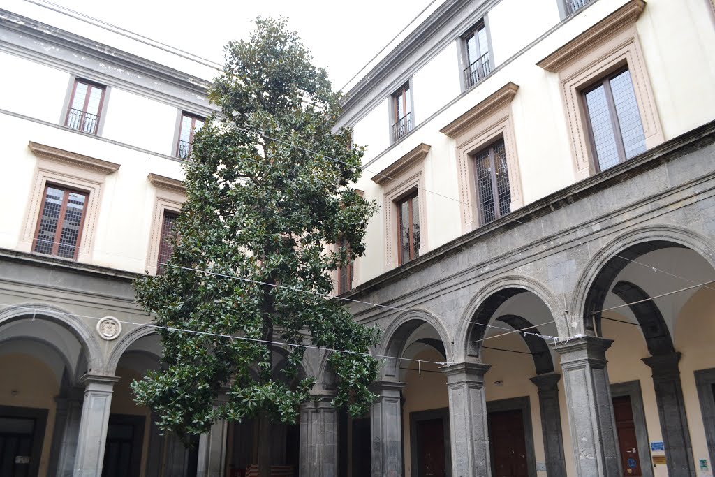格拉维纳的Palazzo Orsini