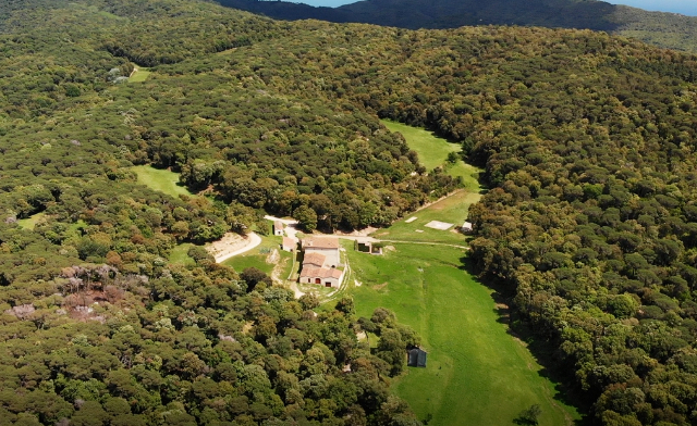 Monnegre parkas (Parc del Montnegre) - Dosrius | Secret World Trip Planner