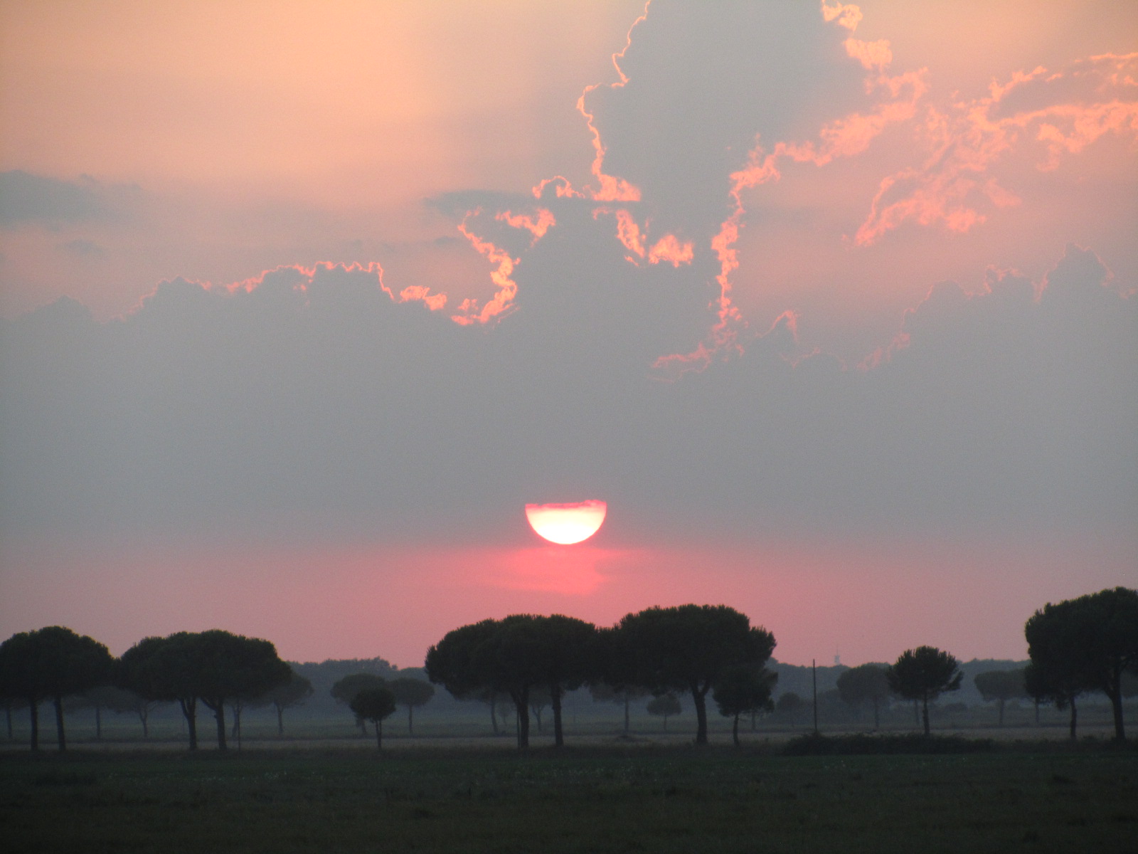 वर्ग के पाइनवुड - Pineta di Classe | Secret World Trip Planner