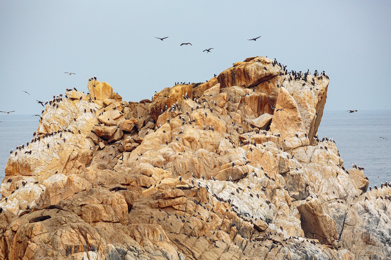 Kaša na drobljenje - Maenza | Secret World Trip Planner