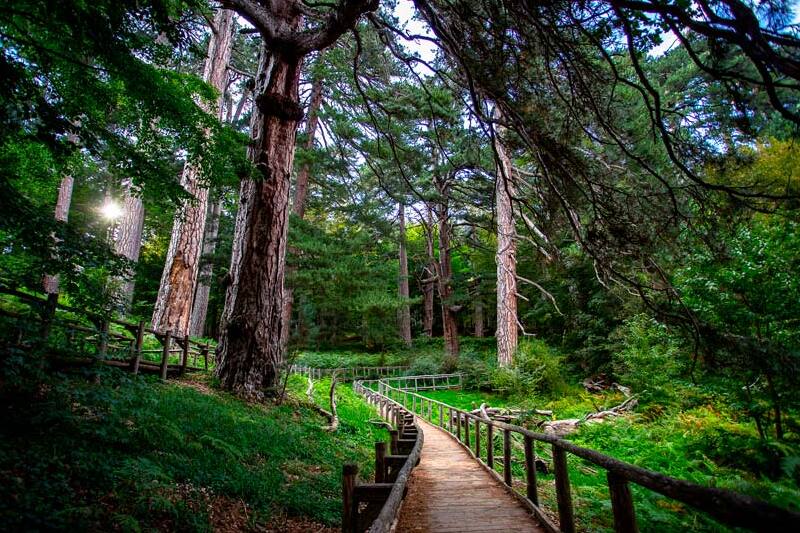 ದೈತ್ಯ ಆಫ್ Sila : ಒಂದು ಸೈಟ್ ಯಾವುದೇ ಇತರ - Camigliatello Silano | Secret World Trip Planner