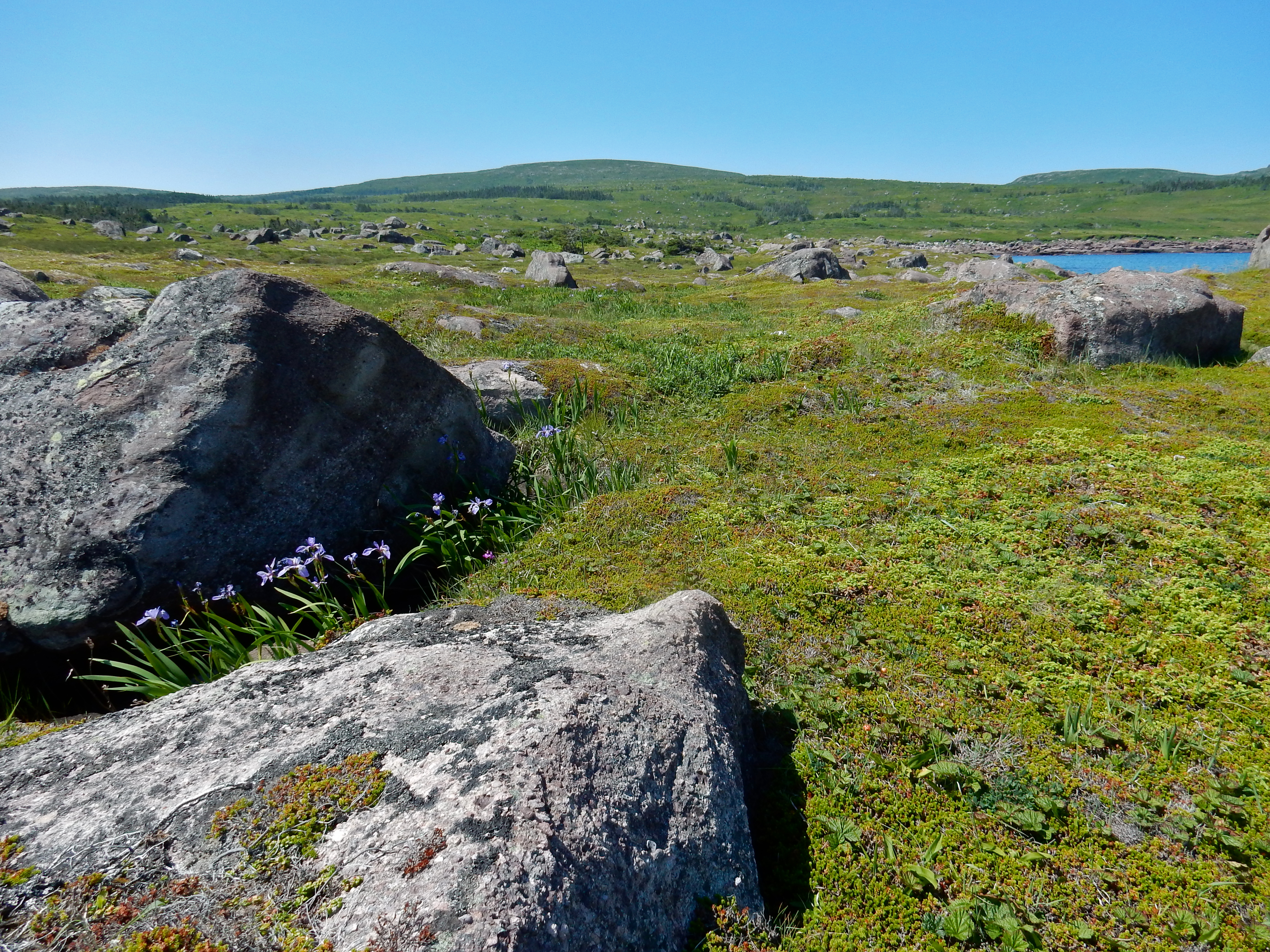 Kanada | Töfrandi Austurströnd Slóð  - Saint John's | Secret World Trip Planner