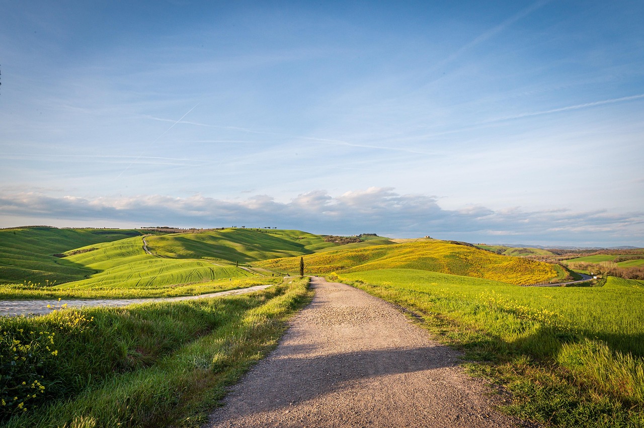 Panzanella Tuscany - Cortona | Secret World Trip Planner