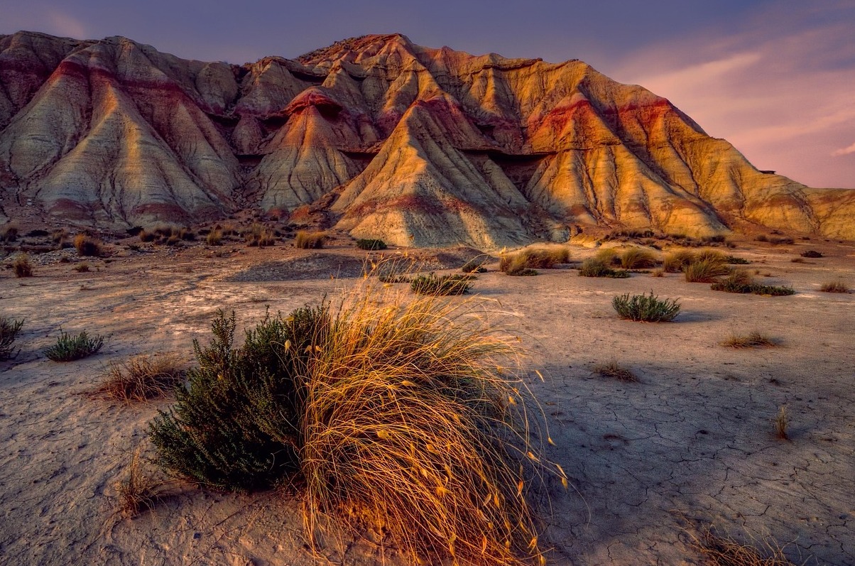 Sabauda Galéria-Titkos Világ - Torino | Secret World Trip Planner