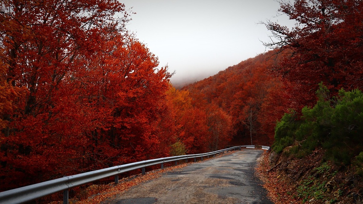 Amendolea: The Ruffo Gaztelua - Amendolea | Secret World Trip Planner