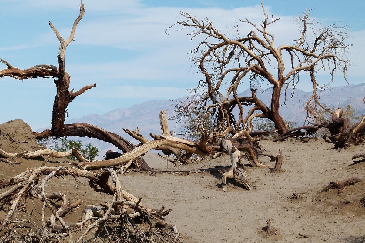 南極大陸のマクマードドライバレー | Secret World Trip Planner