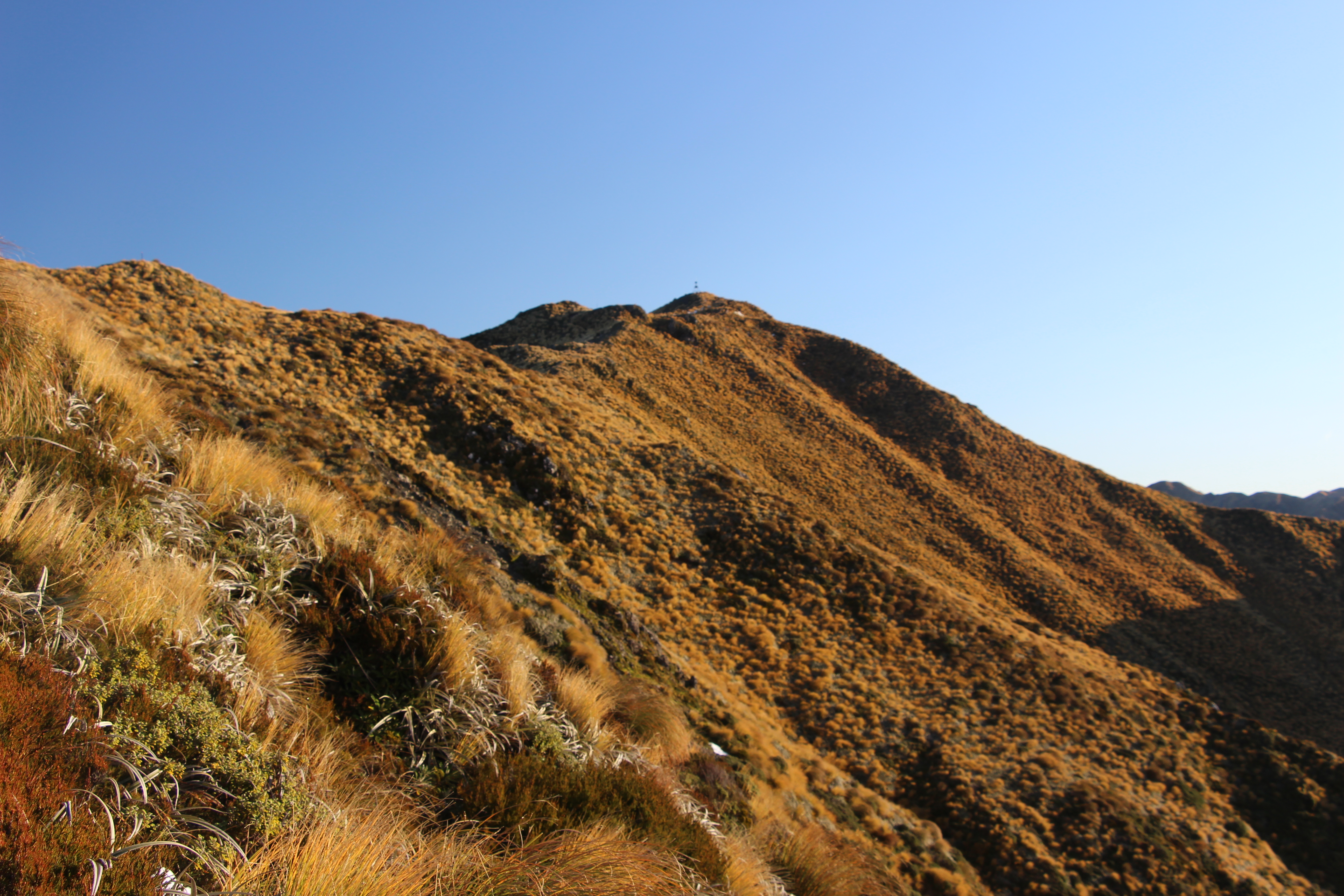 타로 루아 삼림 공원|록키 전망대  - Mount Holdsworth | Secret World Trip Planner