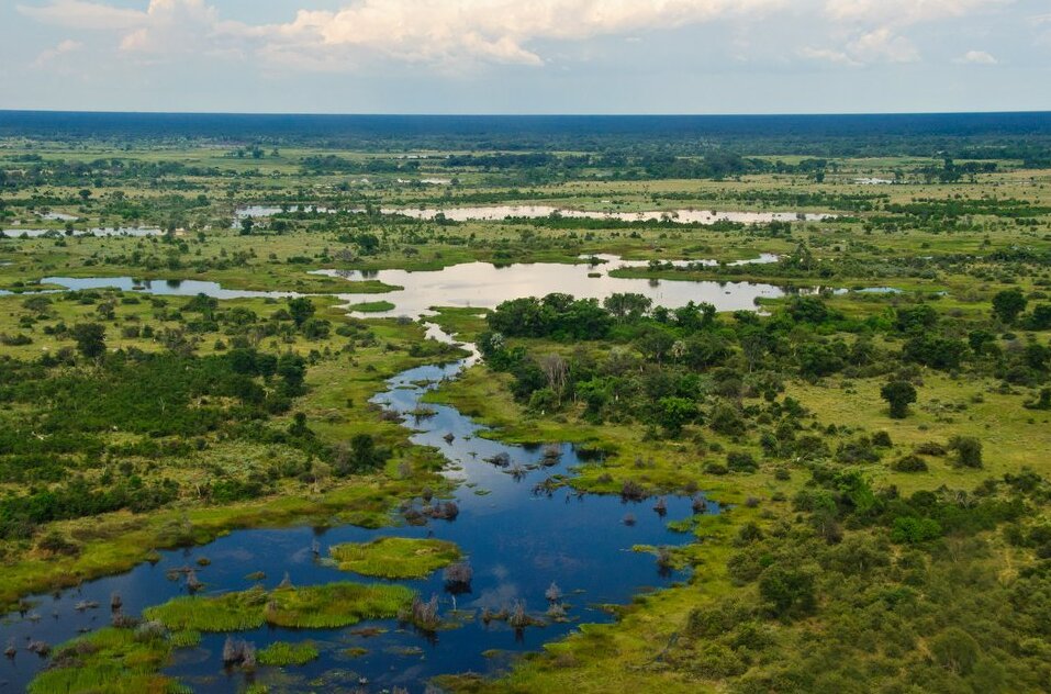 博茨瓦纳/奥卡万戈三角洲：一生之旅  - Okavango Delta | Secret World Trip Planner