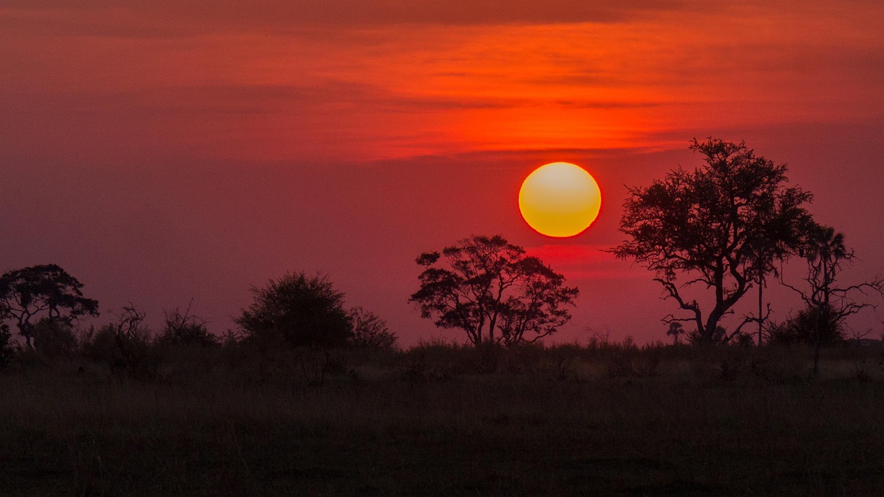 博茨瓦纳/奥卡万戈三角洲：一生之旅  - Okavango Delta | Secret World Trip Planner
