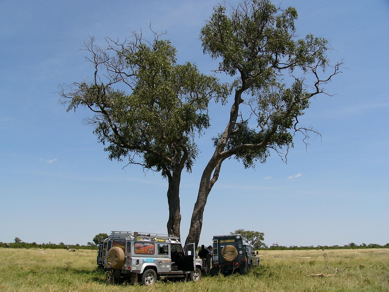 博茨瓦纳/奥卡万戈三角洲：一生之旅  - Okavango Delta | Secret World Trip Planner
