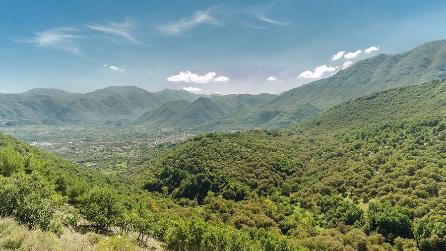 Monte Terminio lan groves chestnut abad-lawas - Serino | Secret World Trip Planner