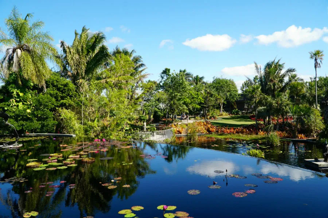 Bustani ya Botanical ya Naples - Naples | Secret World Trip Planner