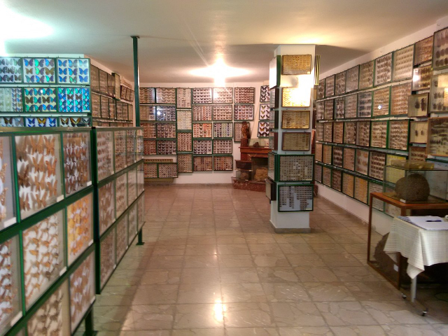 Entomologické múzeum Volos - Volos | Secret World Trip Planner
