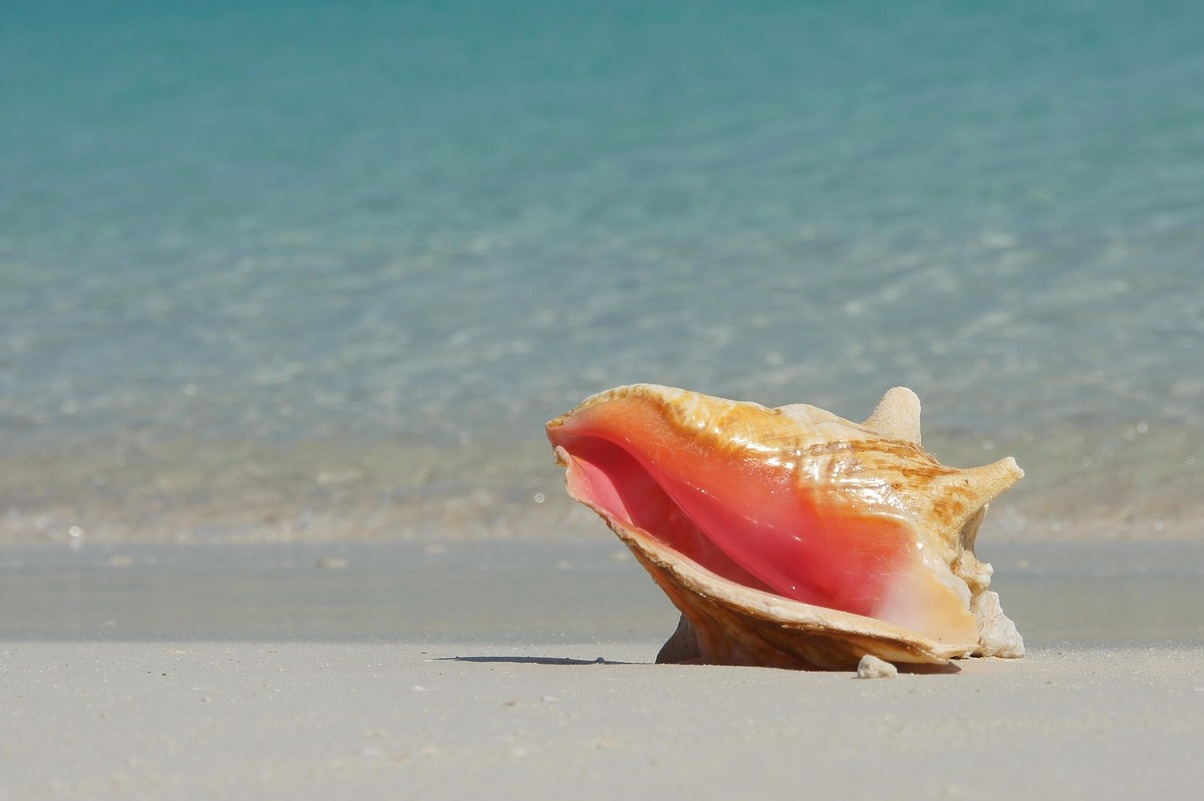 Bahamas: Le meravigliose  isole di Exuma - Exuma | Secret World Trip Planner