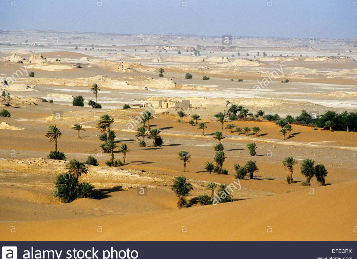 Faya, the largest oasis in northern Chad - Faya Largeau | Secret World Trip Planner