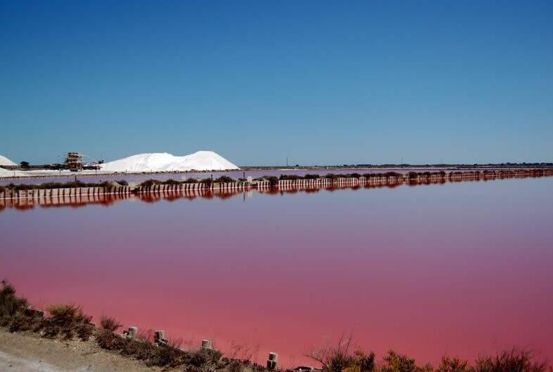 Aigues-Mortes 의 핑크 살린 - Aigues-Mortes | Secret World Trip Planner