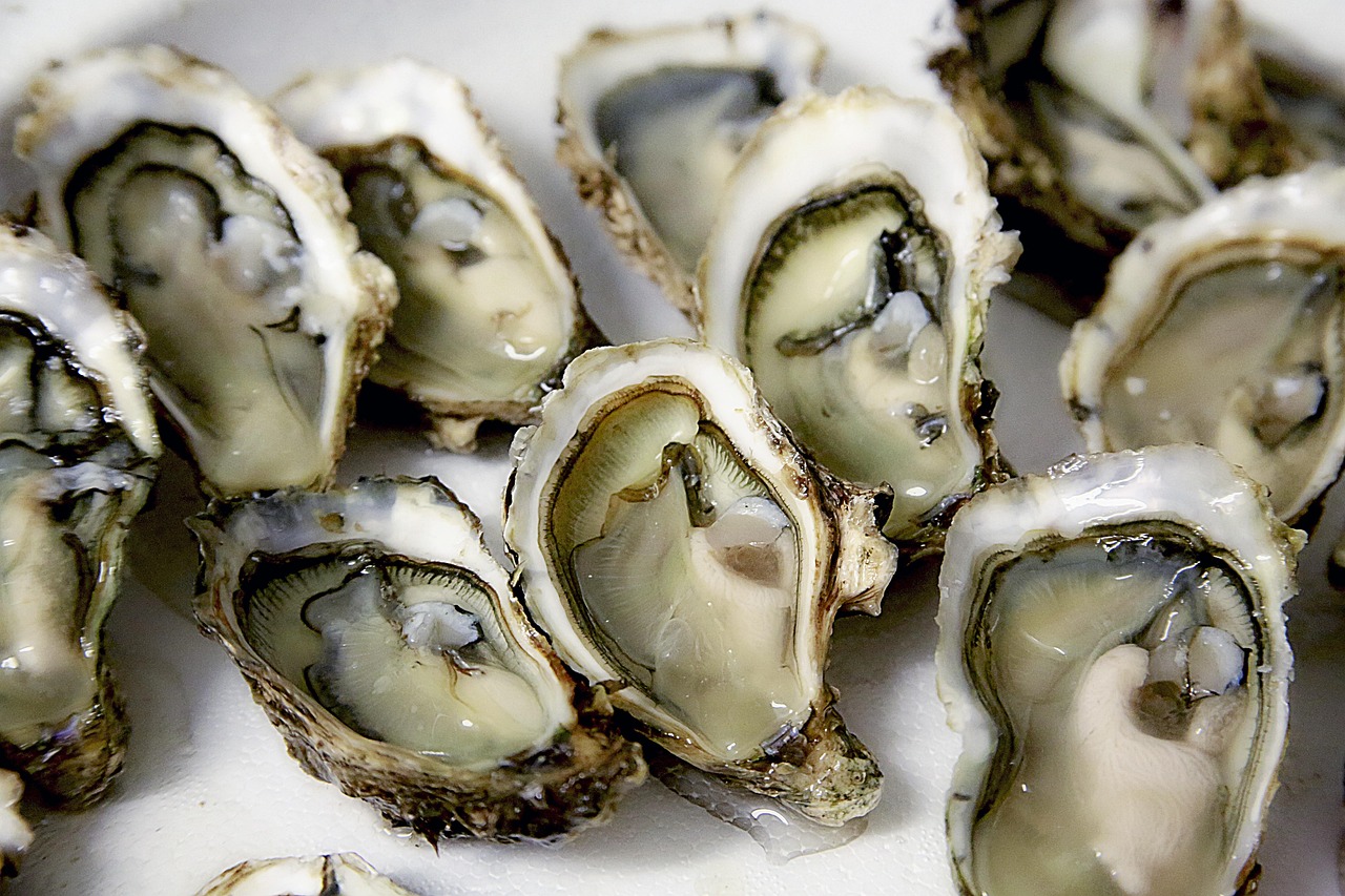 Concale,the oyster capital - Cancale | Secret World Trip Planner